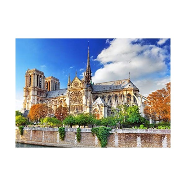 Bluebird Cathédrale Notre-Dame de Paris Jigsaw Puzzle 1000 Pieces 