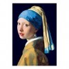 Puzzle Vermeer La Jeune Fille a la Perle 1000 Pieces