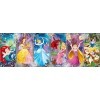 Puzzle Adulte Panorama 1000 Pieces : Les Princesses - Collection Disney