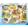 Ravensburger- Kätzchen Premier comptage jusquà 5-8-17 pièces-Puzzle Cadre pour Enfants à partir de 3 Ans, 17159