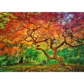 Puzzle 1000 pièces : Arterial Spray