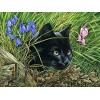 Adulte 1000 pièces Puzzle Chat Animal à la Main Fleur Famille interactif Jouet éducatif Bloc de Construction Puzzle A.7 500 p