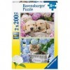 Ravensburger - Puzzle Enfant - Puzzles 2x200 p - Chiens et chaton - Dès 8 ans - 80568