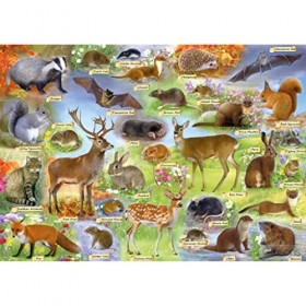 Gibsons 500 pièces British Wildlife | Puzzle Durable Planche 100% recyclée de qualité supérieure | Excellent Cadeau pour Adul