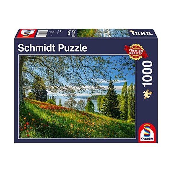 Schmidt CGS_58967 Puzzle, Multicolor
