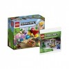 Lego Minecraft Kit de construction pour enfant Le récif corallien 21164 + La grotte en pierre à goutte 30647 