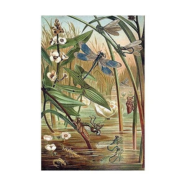 Puzzle 1000 Pièces Adultes, Puzzle Adulte Statue de Bouddha Vert Puzzle Paysage Puzzle Enfant 26X38cm（10.23 * 14.96inch）