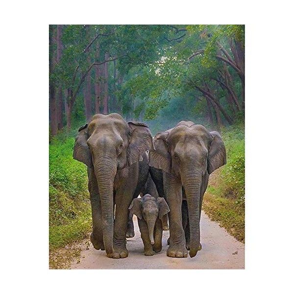 Puzzle 1000 Pièces, Puzzle Adulte, Nourriture abondante Puzzle 1000 Pièces Adulte, Jeu de Puzzle pour Adultes Enfants, Jouets