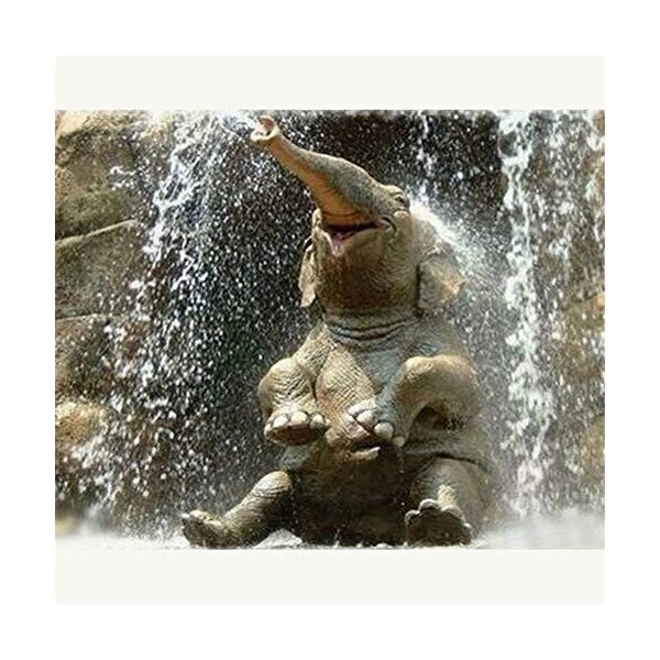 Puzzle 1000 Pièces Adultes, Puzzle en en Bois Puzzles Ancienne Bataille navale à la Voile et Espace Puzzles pour Jeu de Famil