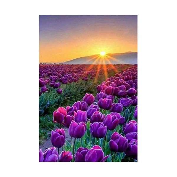 1000 pièces Chouette Tenant Un café Chaud Puzzle créatif Difficile Grand Puzzle éducatif Anti-Stress Jouets pour Adultes Enfa