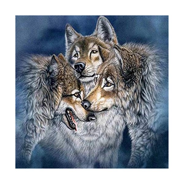 Puzzle 1000 Pièces Adultes, Puzzles de Oiseau Debout sur pin Convient aux Adolescents Adultes Puzzle Enfant 26X38cm（10.23 * 1