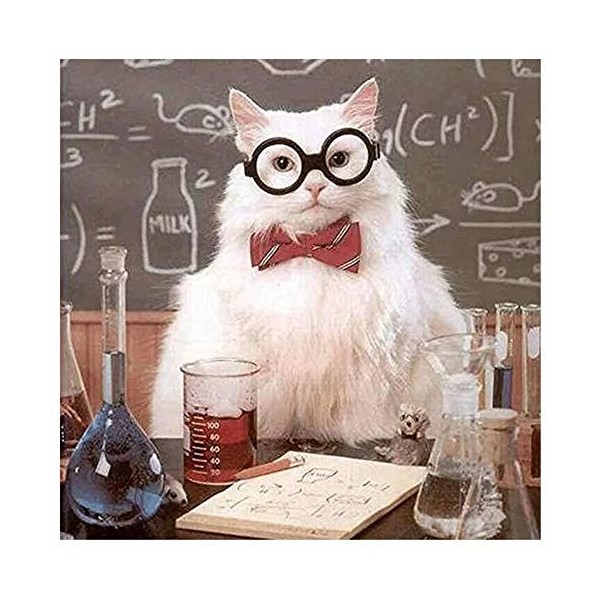 Puzzle 1000 pièces Puzzle Cheval ailé Noir pour Adultes Enfants 26X38cm(10.23 * 14.96inch)