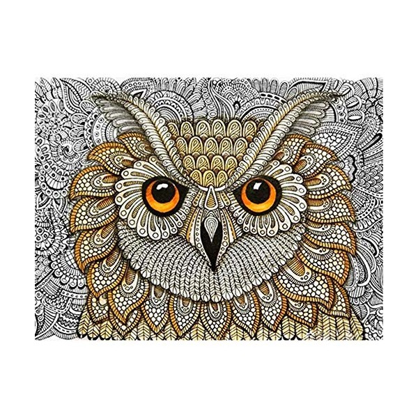 Puzzle 1000 pièces Adultes Puzzles Cheval aux Cheveux Longs pour Adultes et Enfants Puzzle Adulte 26X38cm（10.23 * 14.96inch）