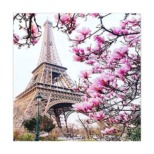 Puzzle 1000 Pièces pour Adultes - Puzzle Adulte Football Noir et Blanc - Puzzle 1000 Pièces Adultes - Loisir Créatif pour Adu