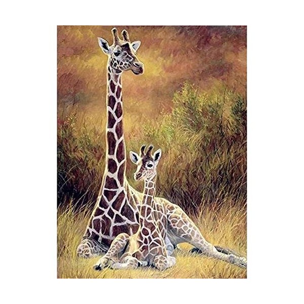 Puzzle 1000 Pièces, Puzzle Adulte, Lions au bord de leau Puzzle 1000 Pièces Adulte, Jeu de Puzzle pour Adultes Enfants, Joue