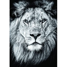 Nathan - Puzzle 1000 pièces - Portrait royal - Adultes et enfants dès 14 ans - Puzzle de qualité supérieure - Encastrement pa