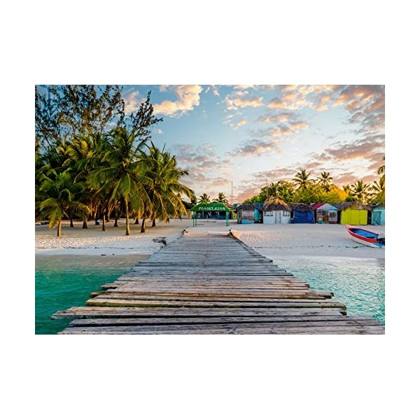 Ravensburger - Puzzle Adulte - Puzzle 1000 p - Île des Caraïbes Puzzle Highlights, Îles de rêve - 16912