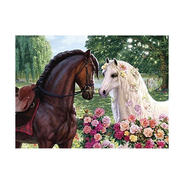 Puzzles pour Adultes 1000 pièces Cheval Brun et Blanc 52 x 38 cm Puzzles pour Adultes Jeu éducatif défi Jouet 1000 pièces Puz