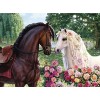 Puzzles pour Adultes 1000 pièces Cheval Brun et Blanc 52 x 38 cm Puzzles pour Adultes Jeu éducatif défi Jouet 1000 pièces Puz