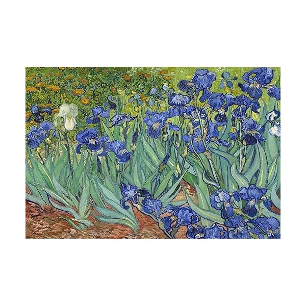 Puzzle 1000 pièces Vincent Van Goghs Beyfish dans Un Vase en cuivre 70 x 50 cm Puzzle Adulte Puzzle Classique 1000 pièces Ad