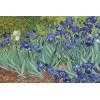 Puzzle 1000 pièces Vincent Van Goghs Beyfish dans Un Vase en cuivre 70 x 50 cm Puzzle Adulte Puzzle Classique 1000 pièces Ad