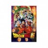 Puzzle Adulte Dragon Ball z et Les 7 Boules de Cristal - 1000 Pieces - Collection Manga san Gohan - Piccolo - Krilin - san Go