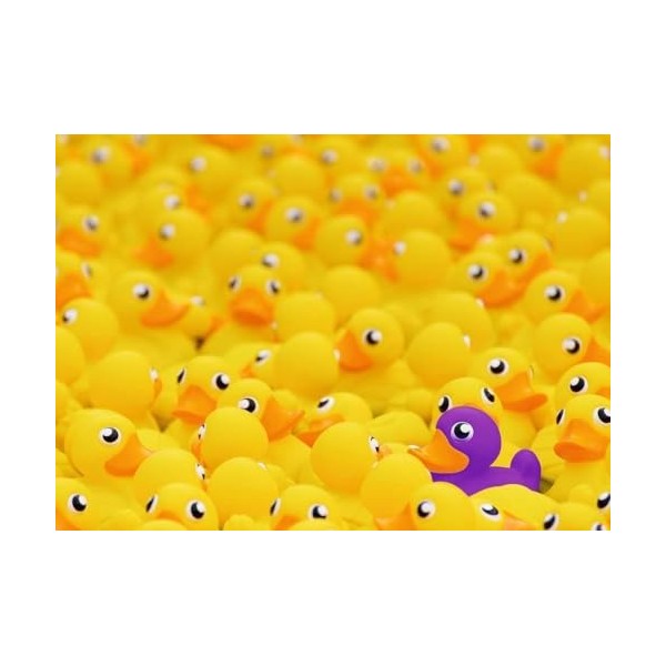 Ravensburger - Puzzle 1000 pièces - Canards Challenge Puzzle - Adultes et enfants dès 14 ans - Puzzle de qualité supérieure