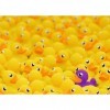 Ravensburger - Puzzle 1000 pièces - Canards Challenge Puzzle - Adultes et enfants dès 14 ans - Puzzle de qualité supérieure