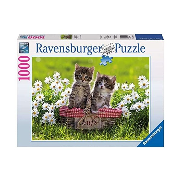 Ravensburger - Puzzle Adulte - Puzzle 1000 p - Pique-nique au pré - 19480