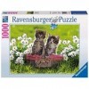 Ravensburger - Puzzle Adulte - Puzzle 1000 p - Pique-nique au pré - 19480