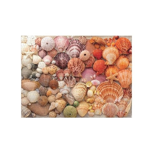 Vibrant Seashells 1000 Piece Puzzle