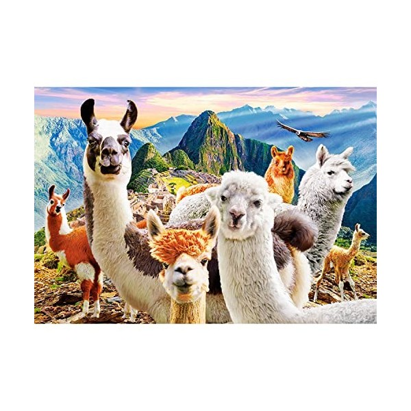 Castorland Puzzle 1000 pièces : Selfie de Lamas