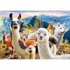 Castorland Puzzle 1000 pièces : Selfie de Lamas