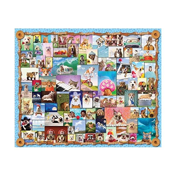 Springbok Puzzles 33-10905 Puzzle 1000 pièces Multicolore