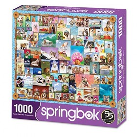Springbok Puzzles 33-10905 Puzzle 1000 pièces Multicolore