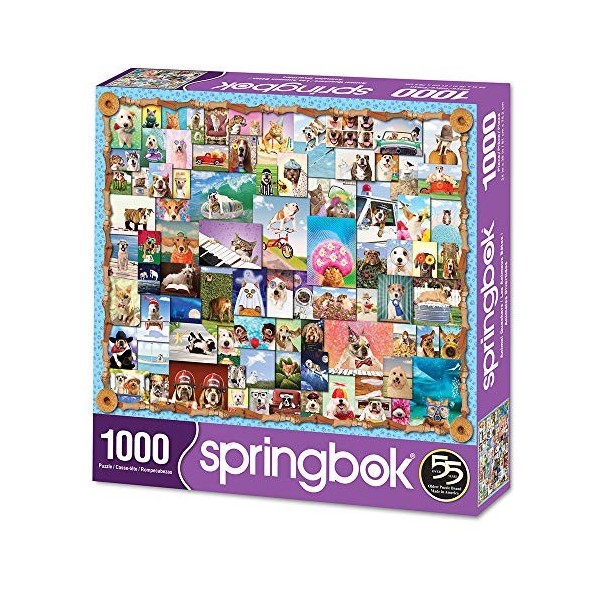 Springbok Puzzles 33-10905 Puzzle 1000 pièces Multicolore