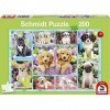 Schmidt Spiele - 56162 - Puzzle Classique - 200 Pièces