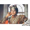 300 Pièces Puzzles Adultes Michael Jackson Puzzles pour Adultes Puzzles 300 Pièces Puzzle Jeu Jouets pour Adultes Puzzles Fam