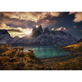 Heye- Puzzle Guanacos 1000 Pièces, 29815