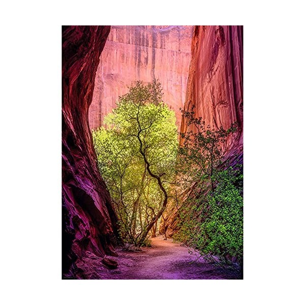 Heye- Puzzle, Singing Canyon 1000 Teile, Orange