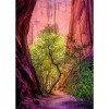 Heye- Puzzle, Singing Canyon 1000 Teile, Orange