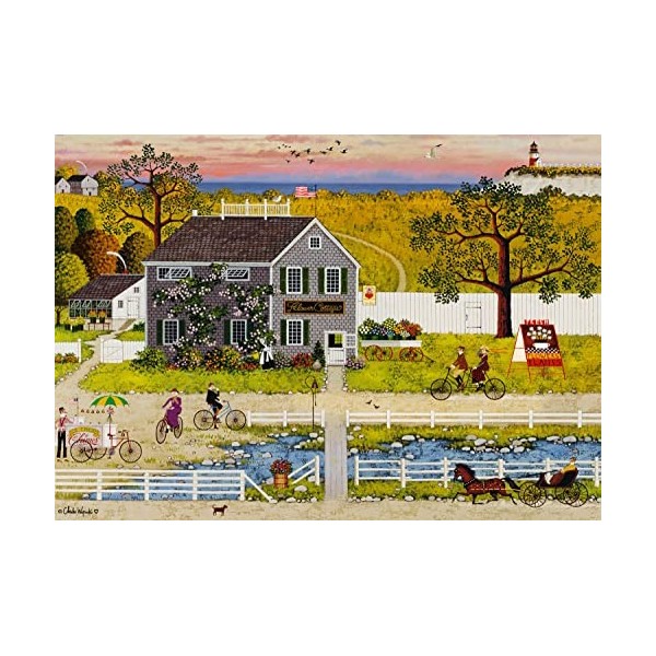 Buffalo Games - Charles Wysocki - Nantucket Flower Shop - Puzzle de 300 pièces