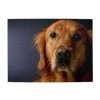 Golden Retriever Puzzle en bois personnalisé 500 pièces pour anniversaire adulte