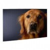 Golden Retriever Puzzle en bois personnalisé 500 pièces pour anniversaire adulte