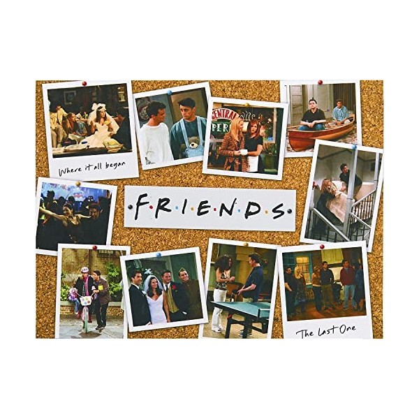 Friends Puzzle classique emblématique de 1000 pièces toutes saisons