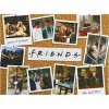 Friends Puzzle classique emblématique de 1000 pièces toutes saisons