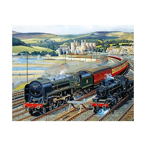 Puzzle - Deux trains - 500 pièces - Pour adultes et enfants