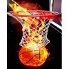 Puzzle 500 Pièces, Feu De Basket-Ball Paysage Puzzle De 500 Pièces Défi Cadeau Educatif Puzzle Adulte pour Adulte Enfants Déc