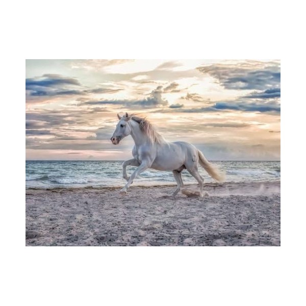 Ravensburger - Puzzle Adulte - Puzzle 500 p - Cheval sur la plage - 16586