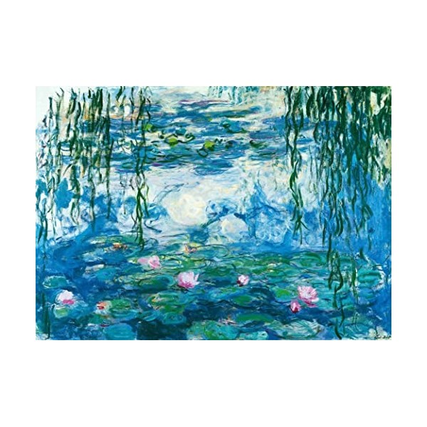 Puzzles pour Adultes 1000 pièces Coquelicots à Argenteuil de Claude Monet 70 x 50 cm Puzzles pour Adultes Jeu éducatif Challe